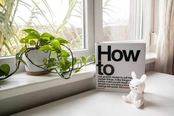 A Book and a Bunny Figurine Standing near a Window with a Pothos Plant